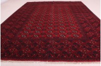 Turkoman rugs